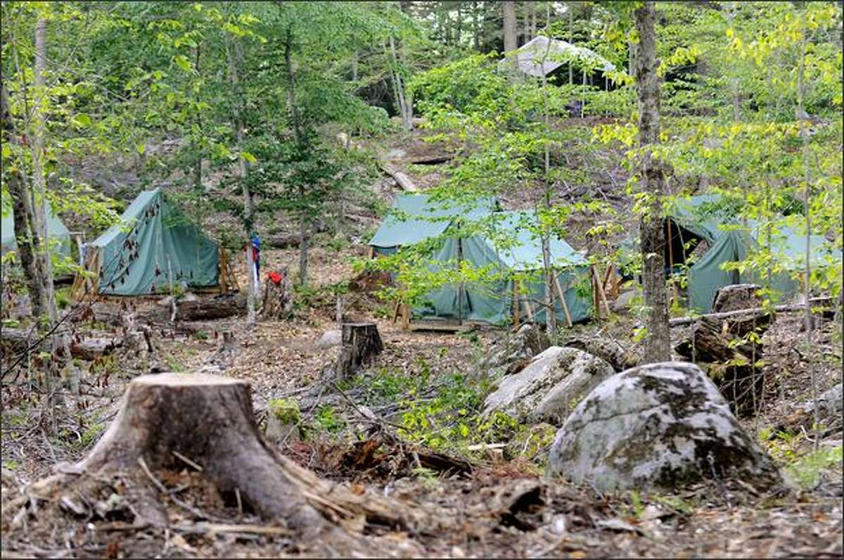 Tents are erected among fallen trees and stumps in July at the Apache campsite at Cedarlands Scout Reservation in Long Lake, N.Y.