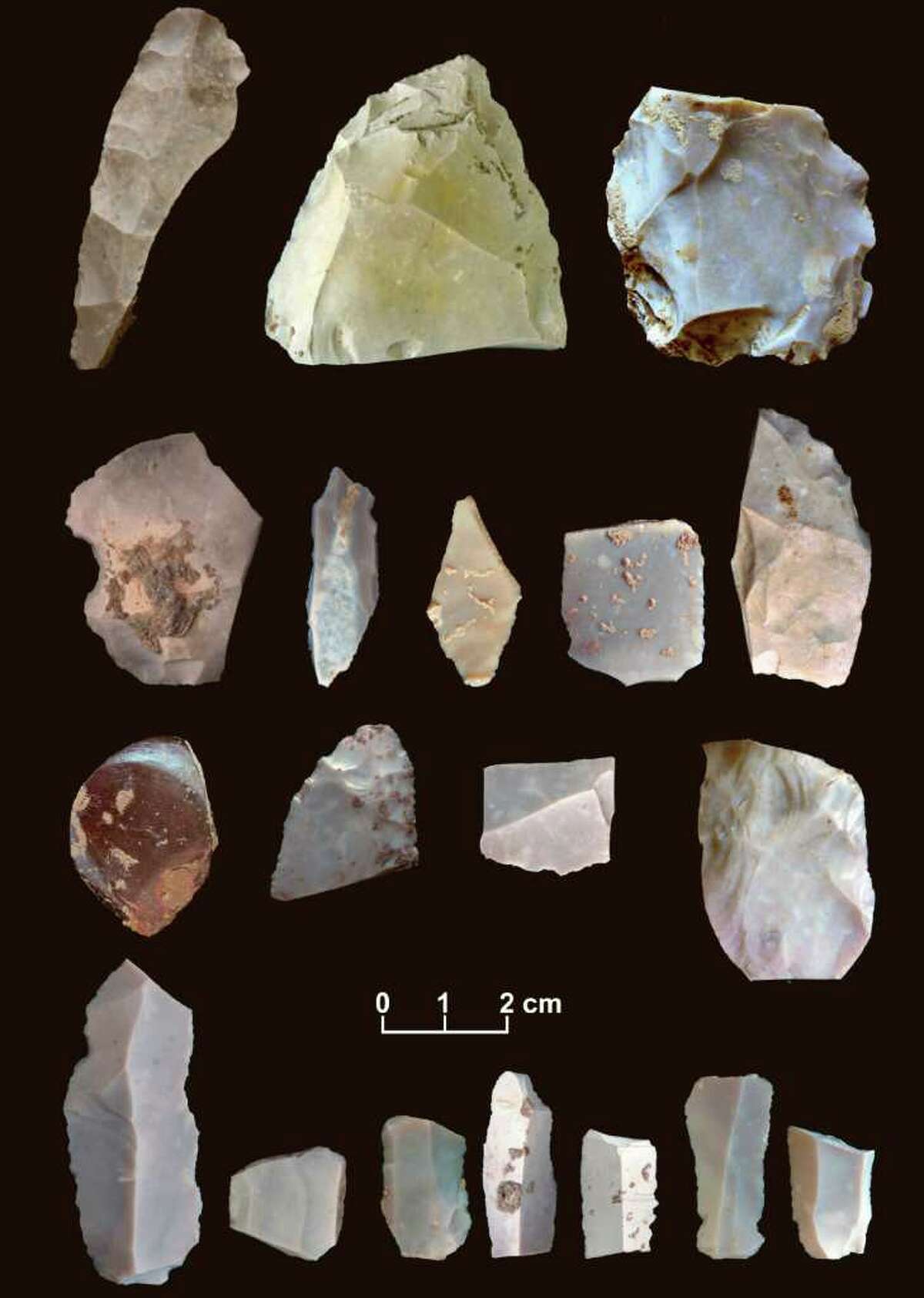 Artifacts from the 15,500-year-old site in Texas.