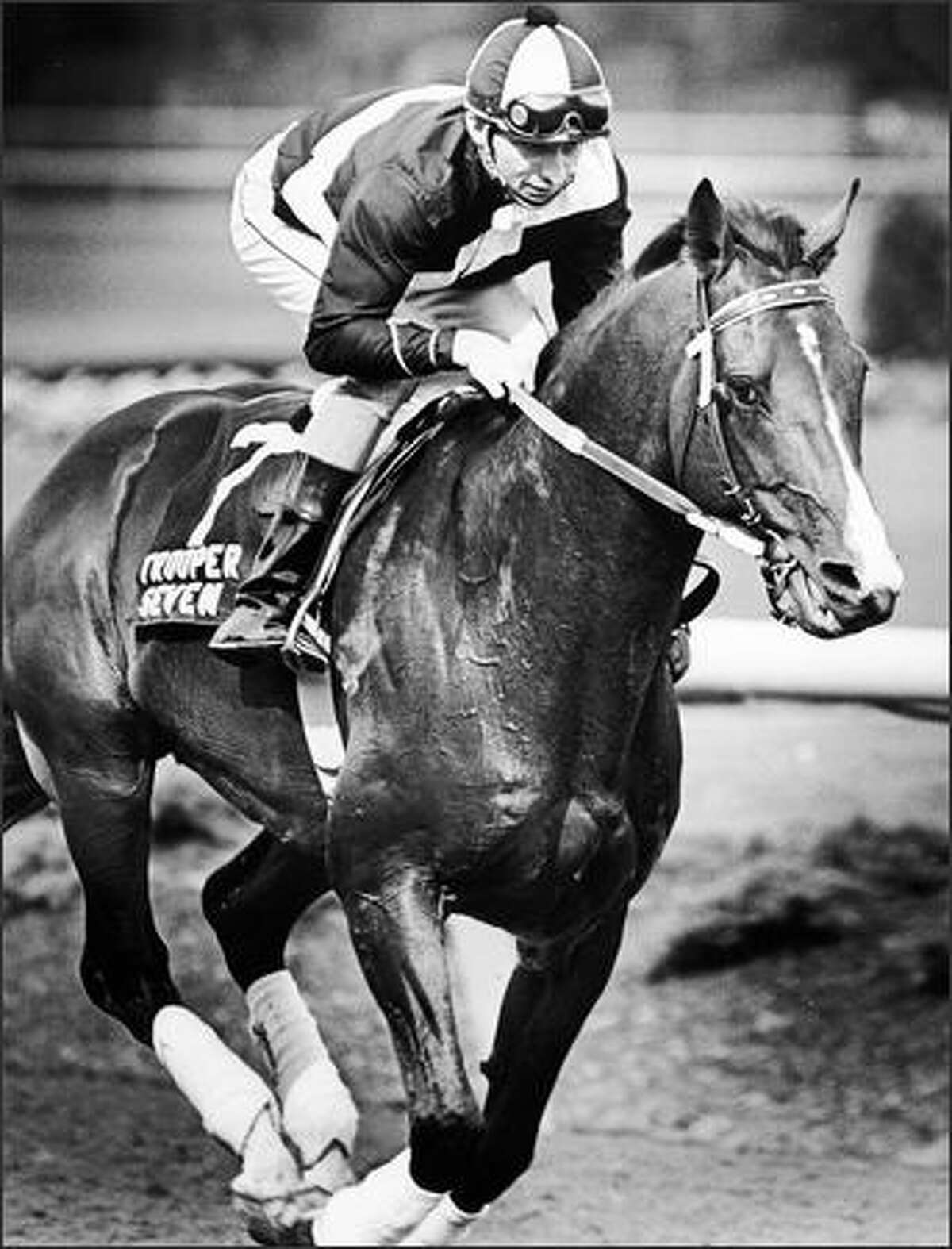 Trooper Seven, with Gary Baze riding, takes a last lap to the delight of adoring fans at Longacres in 1981.