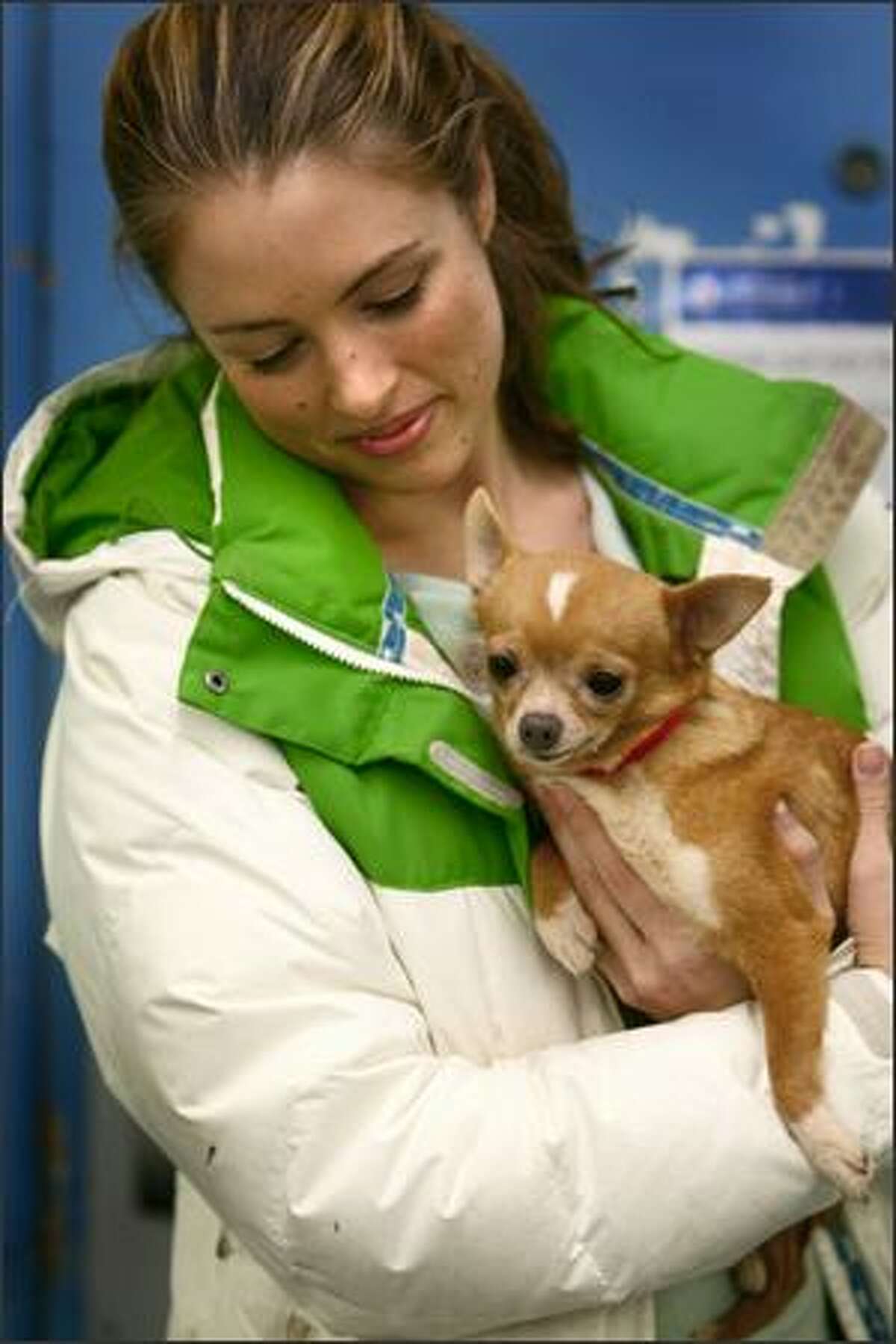 Amber Yoo holds Dixie, one of the dogs rescued from puppy mills in Snohomish and Skagit counties.