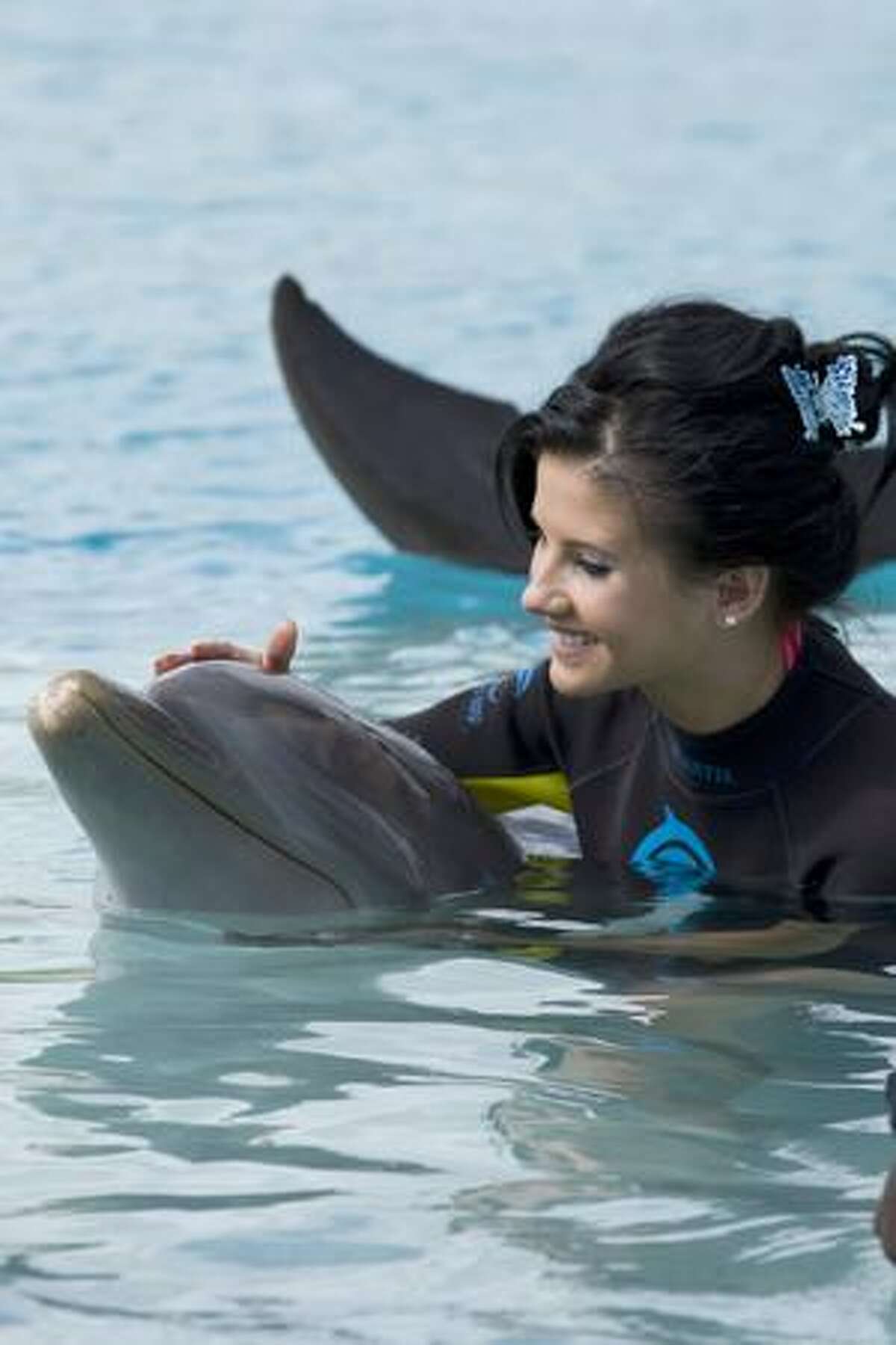 Larissa Costa, Miss Brazil, pets a dolphin while in Dolphin Cay at Atlantis.