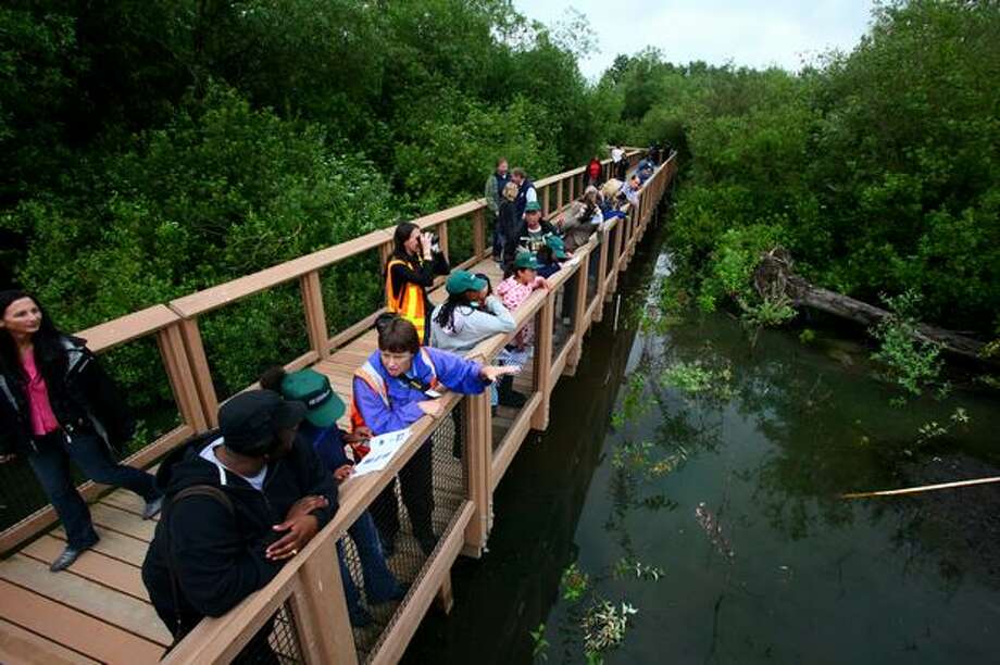 Renton wetland opens to wondrous reception