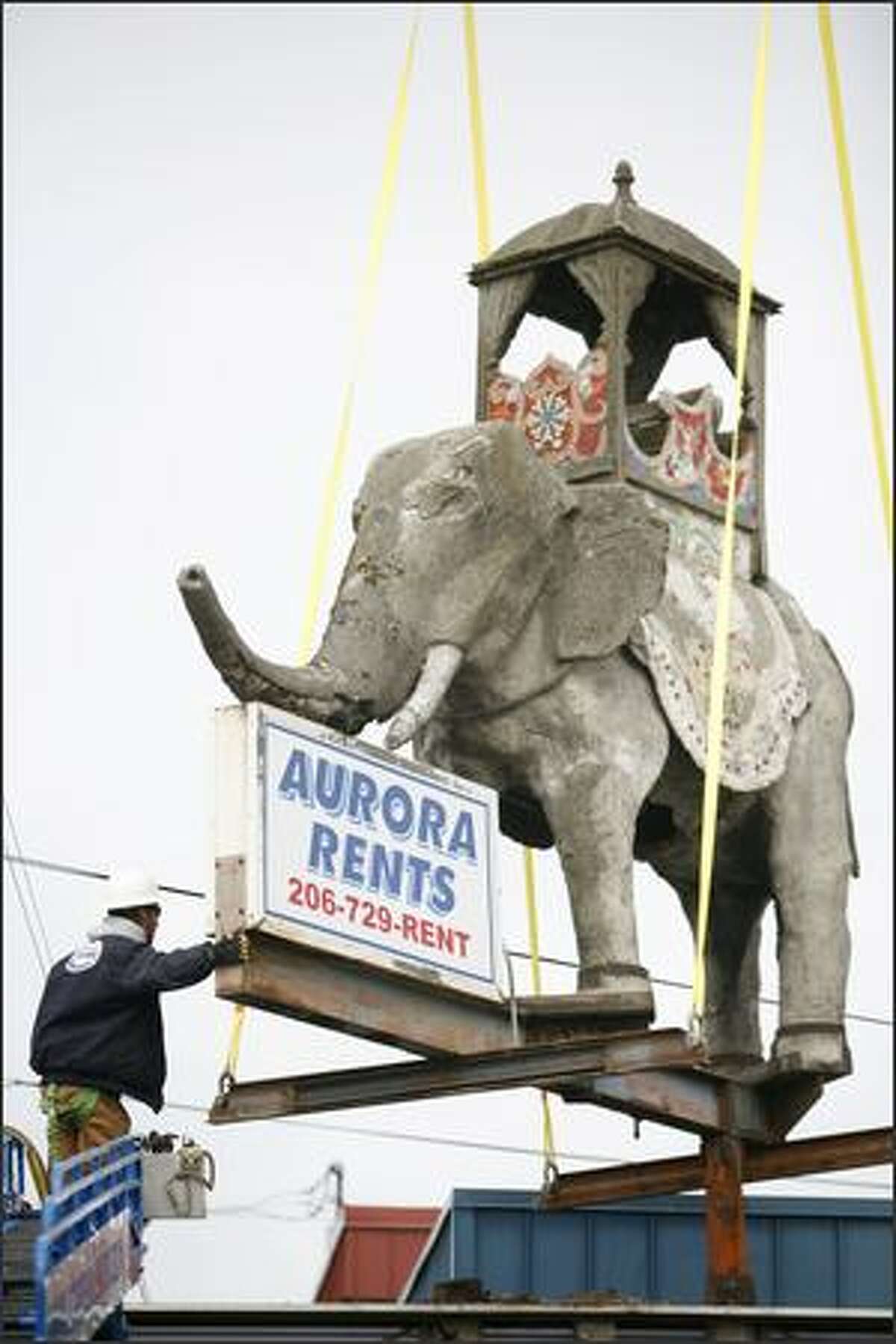 Chris Beasley with Shoreline Sign and Awning guides the 8,400 pound concrete elephant in front of Aurora Rents in north Seattle.