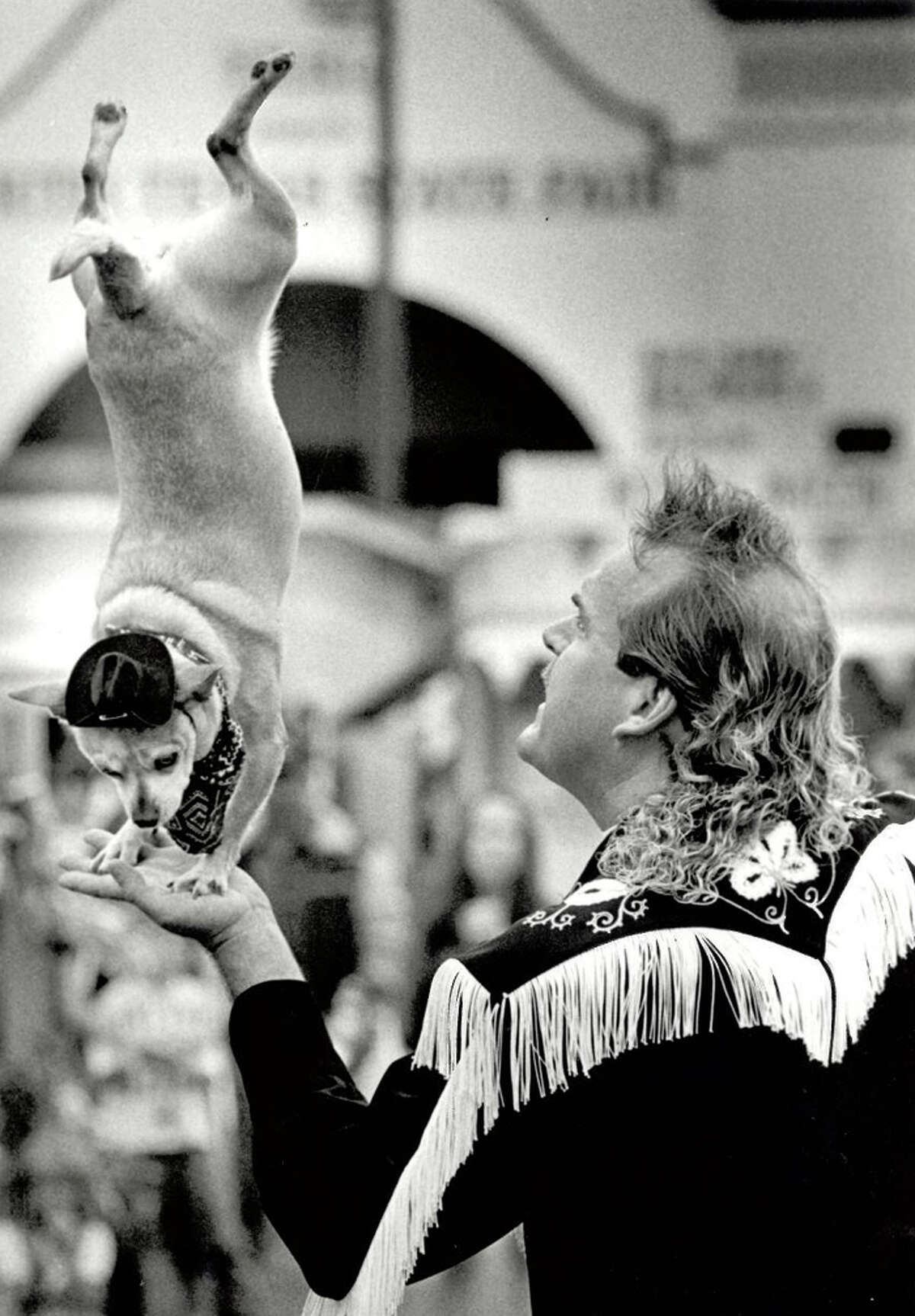 "Cowboy Gary Noel provides the place for pooch Pistol Peanut to perfrom a hand--er, paw-stand during a perfromance of Doggies of the Wild West during the South Texas State Fair on Sunday." Enterprise file photo 1994