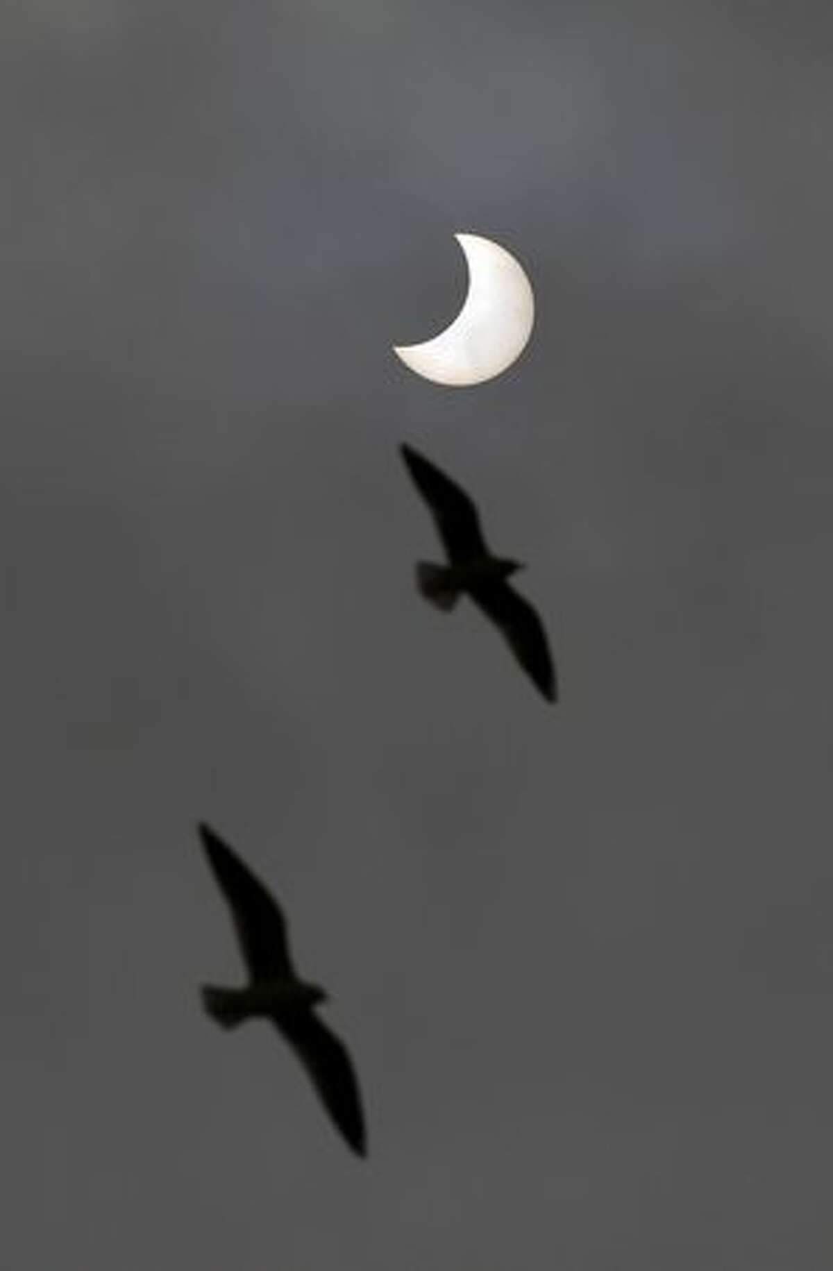 Birds fly past as a solar eclipse is seen from Allahabad.