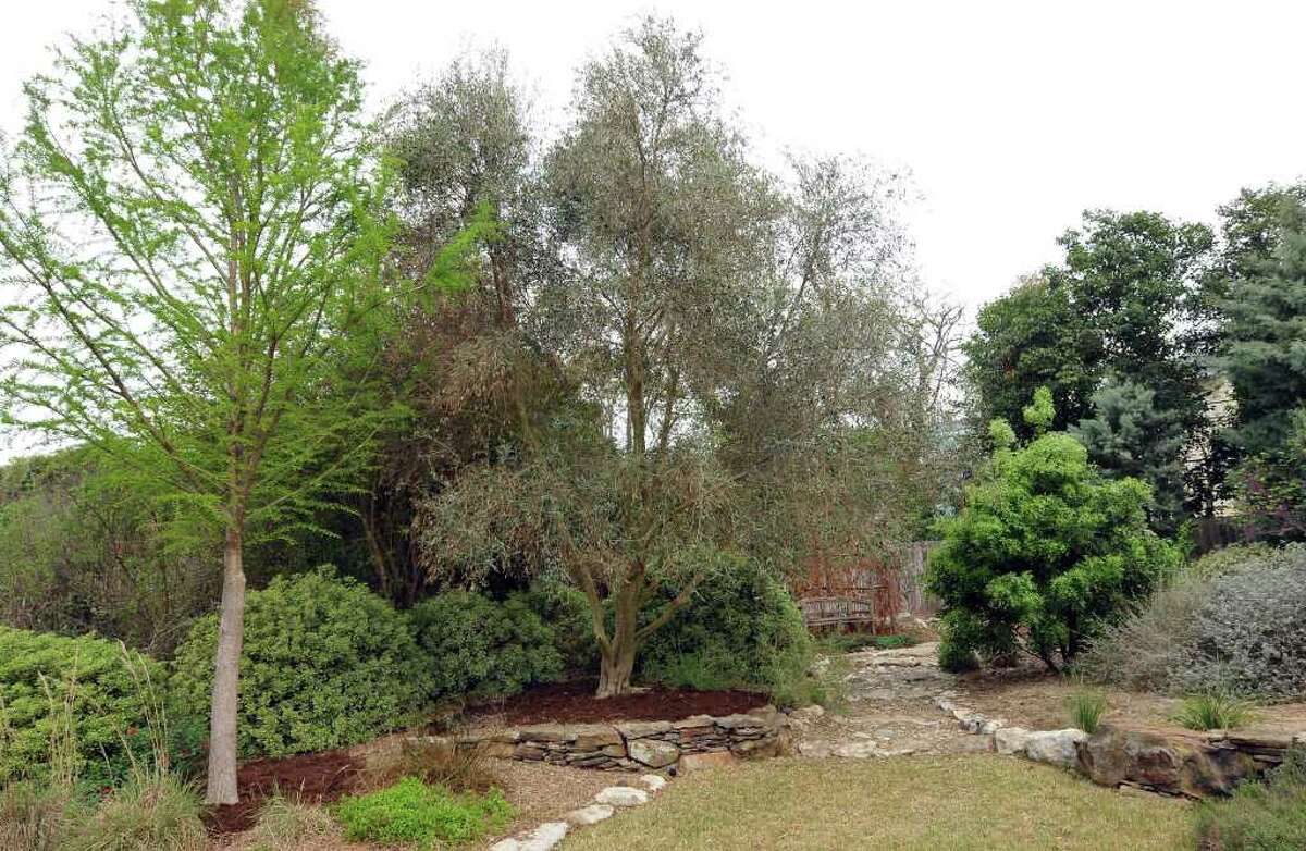 Gardening with a Mediterranean flair