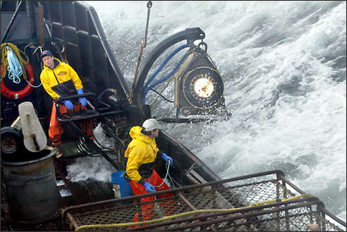A Dangerous Season for Crabbing