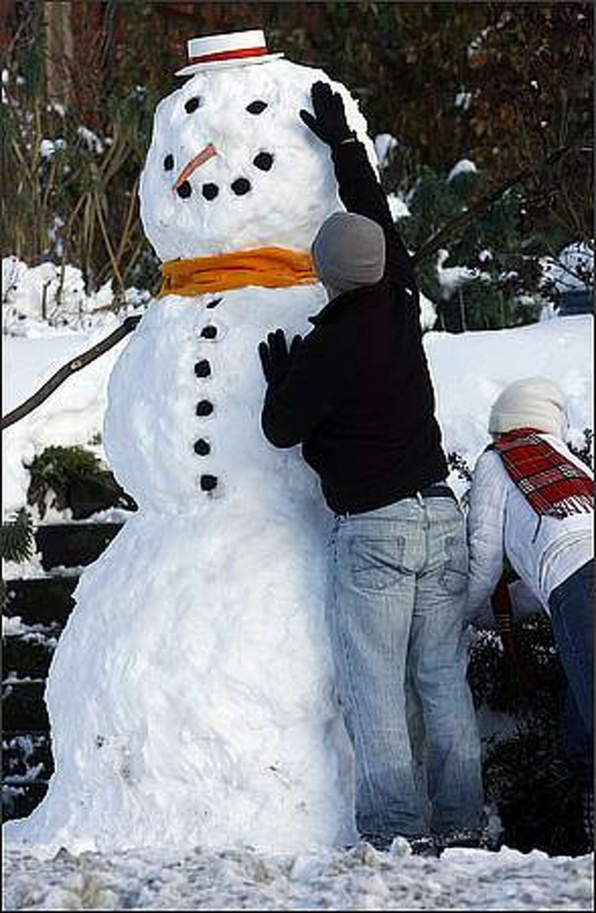 Jeff Olson puts the finishing touches on an 8-foot snowman guilt by him and his girlfriend, Veronica Nim, in front of Nim's house on Fauntleroy Way in West Seattle. "It's not the biggest one we've done," Olson said recalling a 15-footer he built with the help of a football team several years back. Dec. 22, 2008.