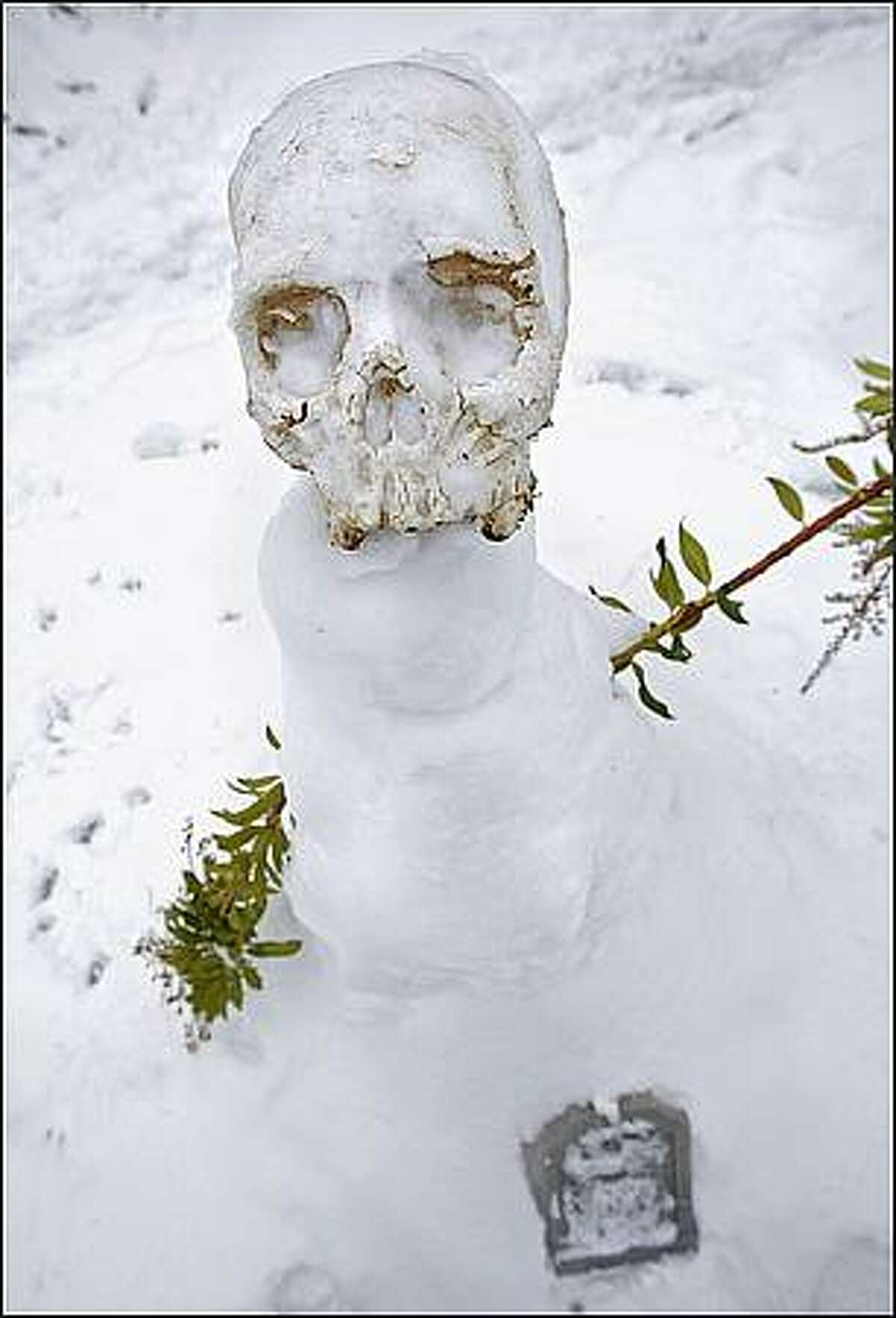 A skull finds new life as a snowman's head in Ballard. Dec. 23, 2008.
