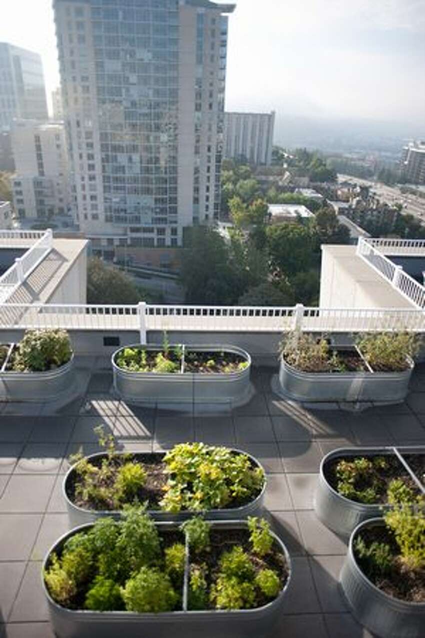 green roofs seattle