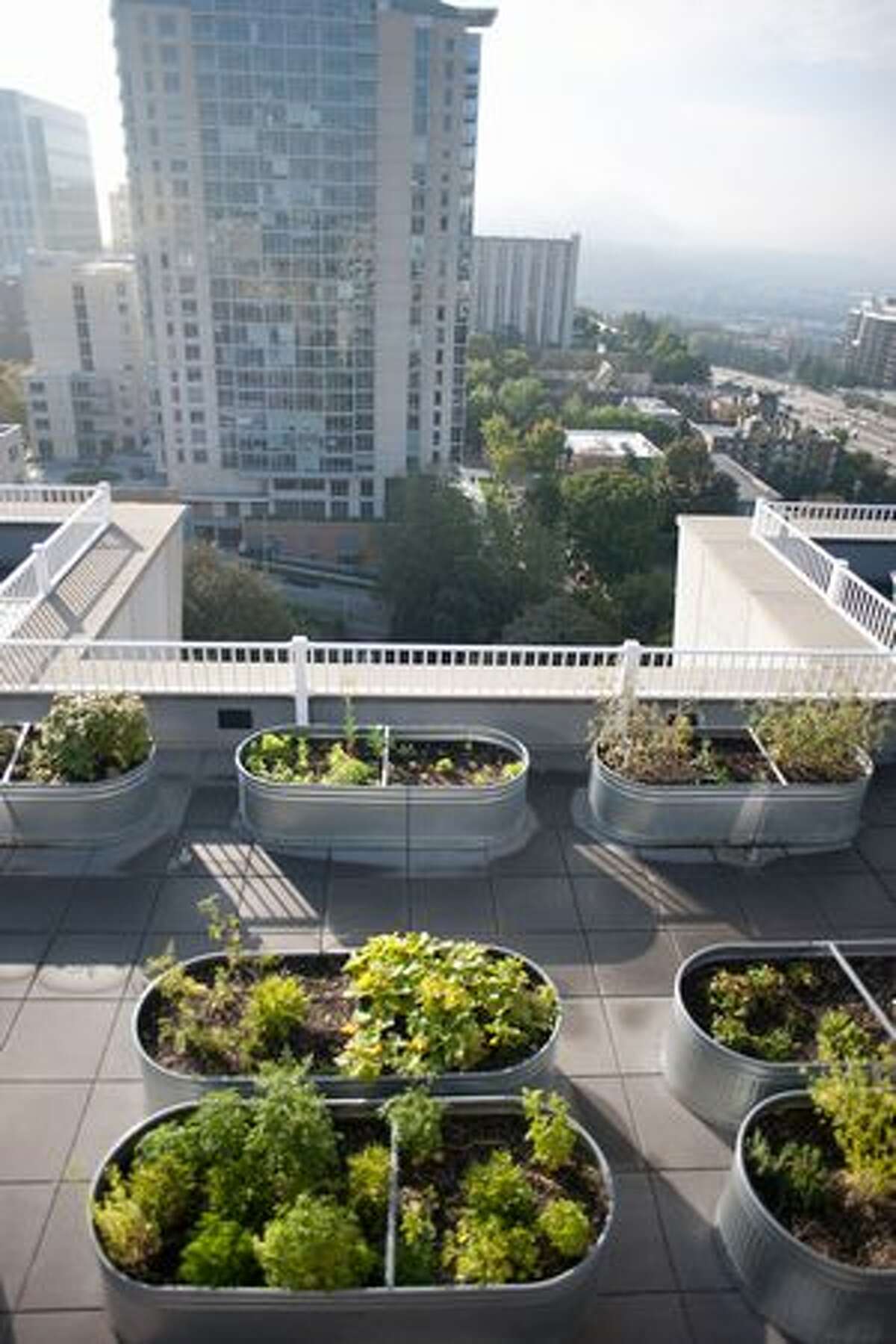 Greenery and scenery are located on the green roof of the M Street Apartments.