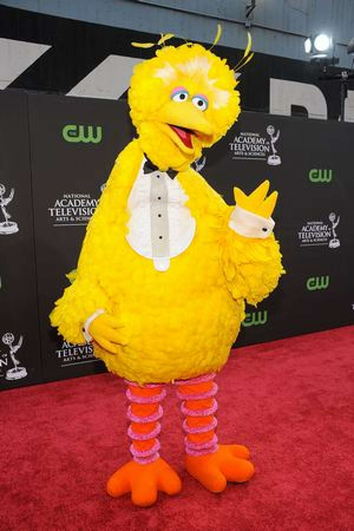 Big Bird arrives at the 36th Annual Daytime Entertainment Emmy Awards at The Orpheum Theatre on Sunday in Los Angeles, Calif.