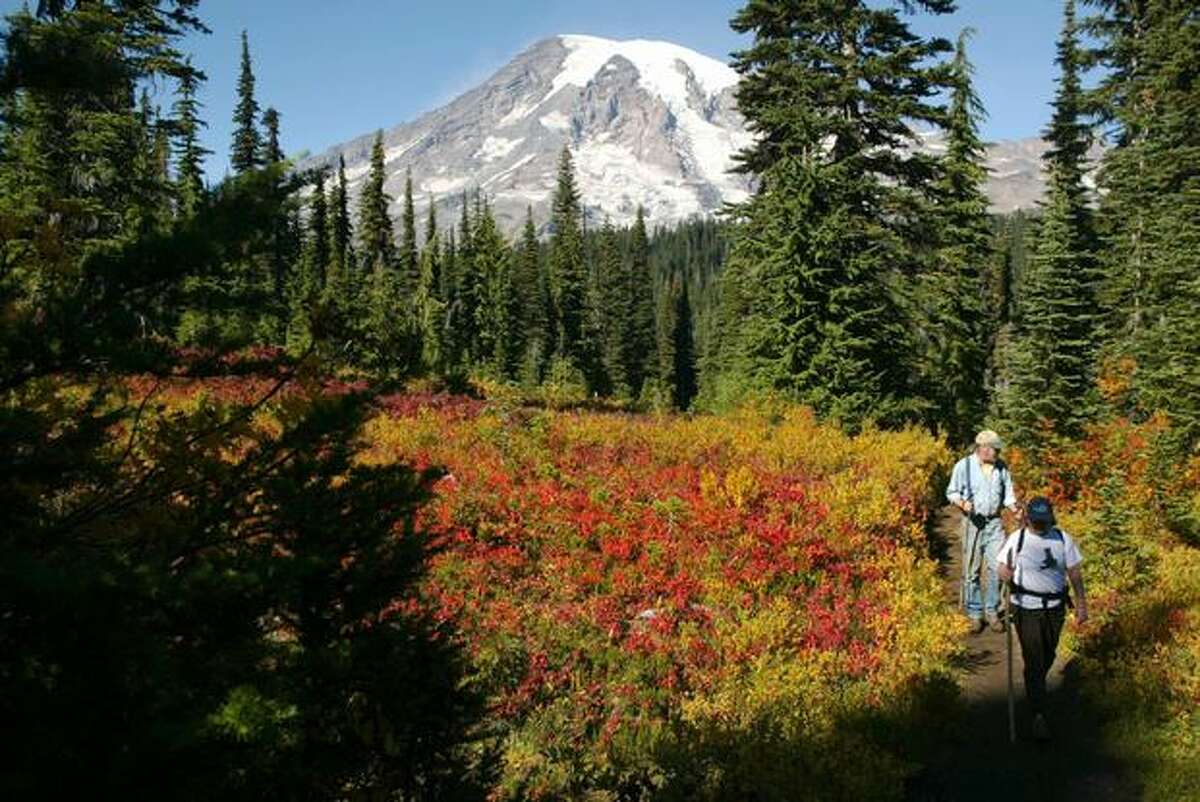 Top 10 Fall Activities at Mt. Rainier