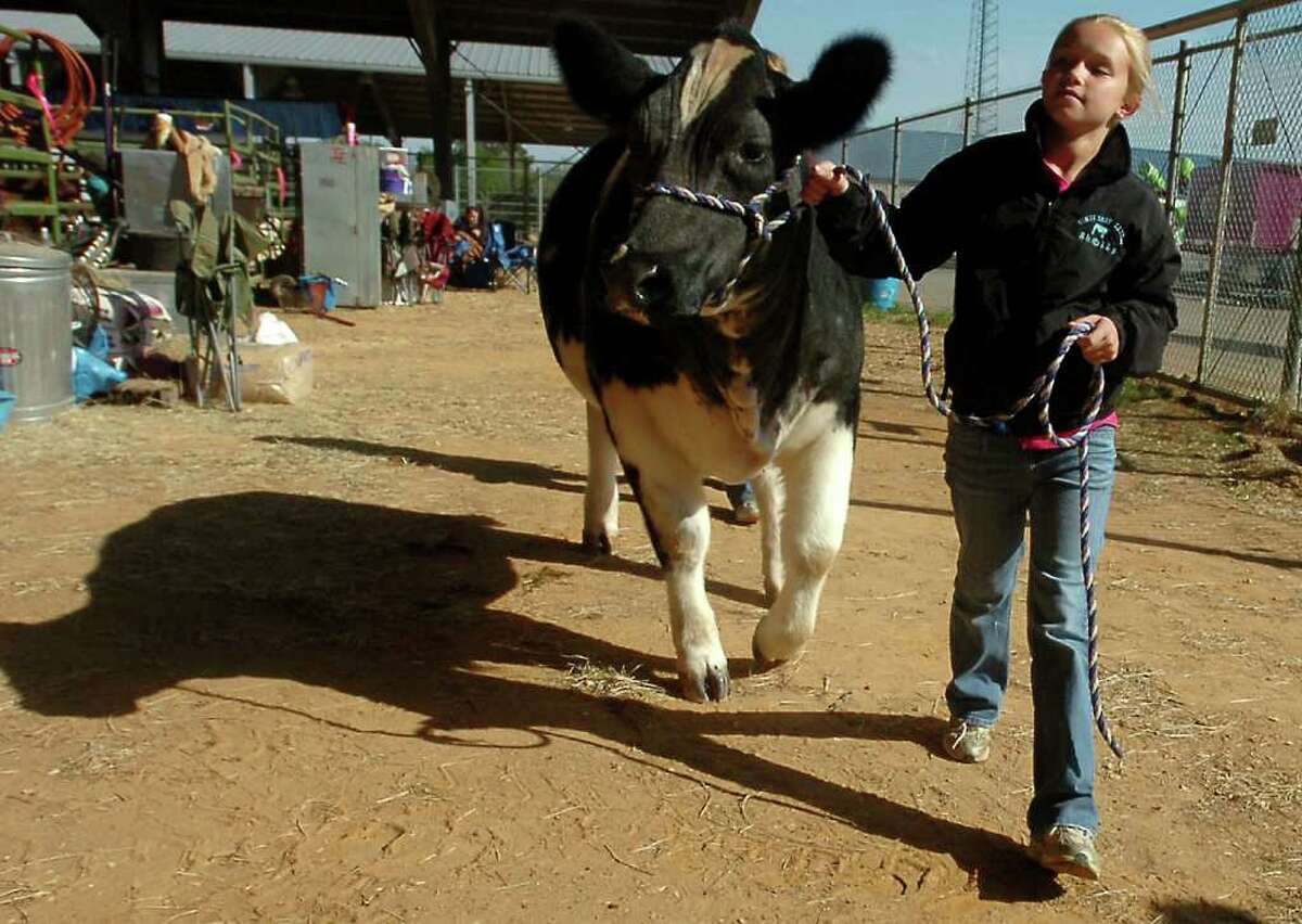 South Texas State Fair's livestock competitions score a 'Bullseye'