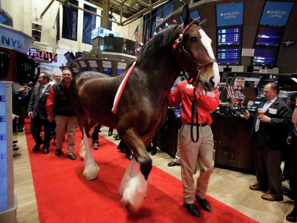 A Budweiser Clydesdale is led across the trading floor of the New York Stock Exchange for participation in opening bell ceremonies, in observance of Major League Baseball's opening day, Thursday, March 31, 2011.