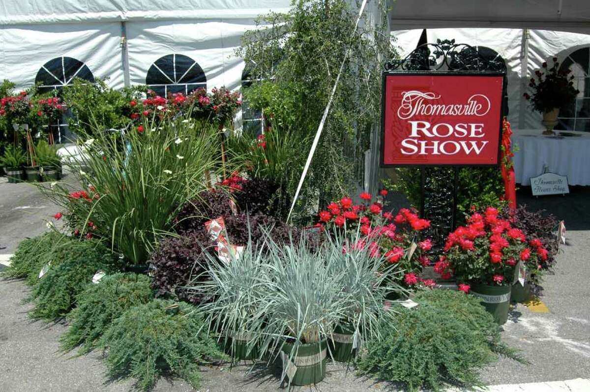 Roses cover Peach State city