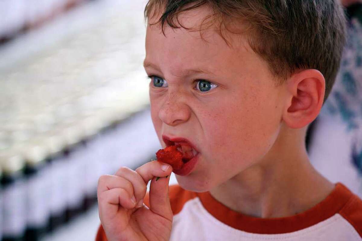 FOR METRO - Logan Billig, 7, taste a strawberry from Wheeler Farms of Poteet, Tx., Saturday April 2, 2011 during the 64th Annual Poteet Strawberry Festival in Poteet, Tx. PHOTO BY EDWARD A. ORNELAS/eaornelas@express-news.net)