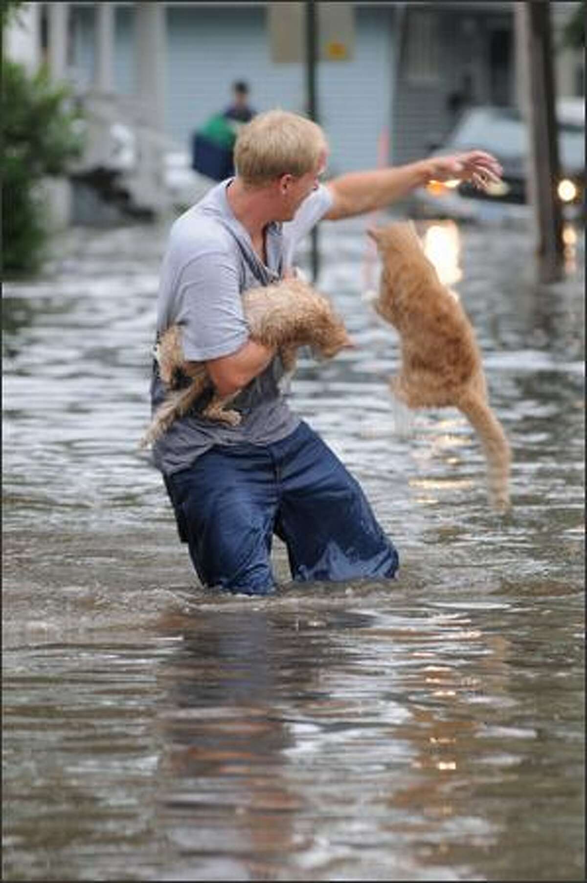 Brandon Smith tries to carry his two cats, Fry and Bender, to dry land from their flooded and evacuated home in Cedar Rapids, Iowa.