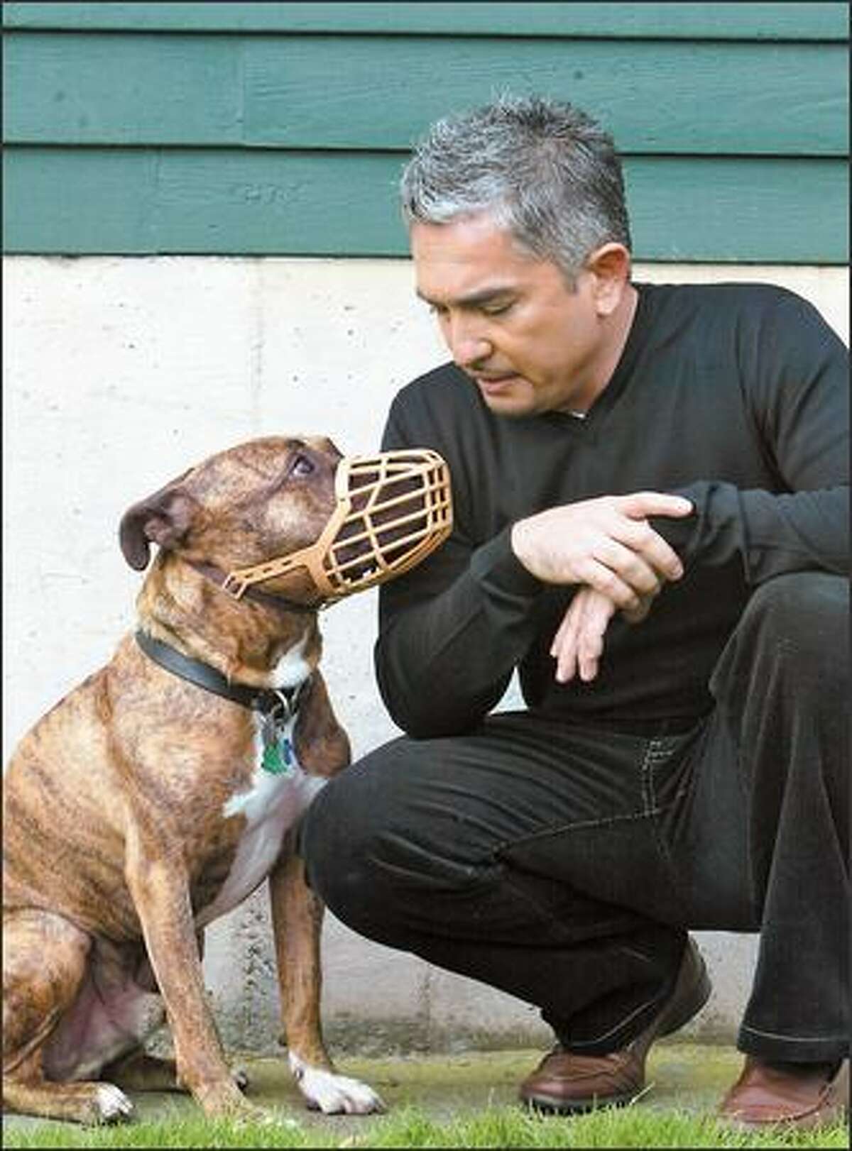 Cesar millan dog clearance muzzle