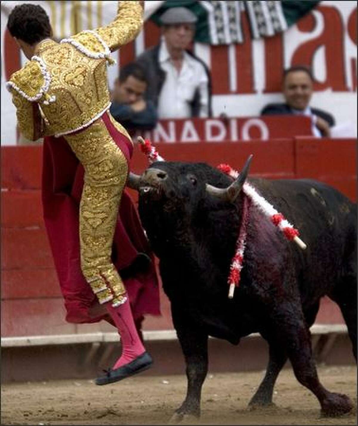 Spanish bullfighter Jose Tomas is butted by the bull during a bullfight in Guadalajara, Mexico. (AP Photo/Guillermo Arias)