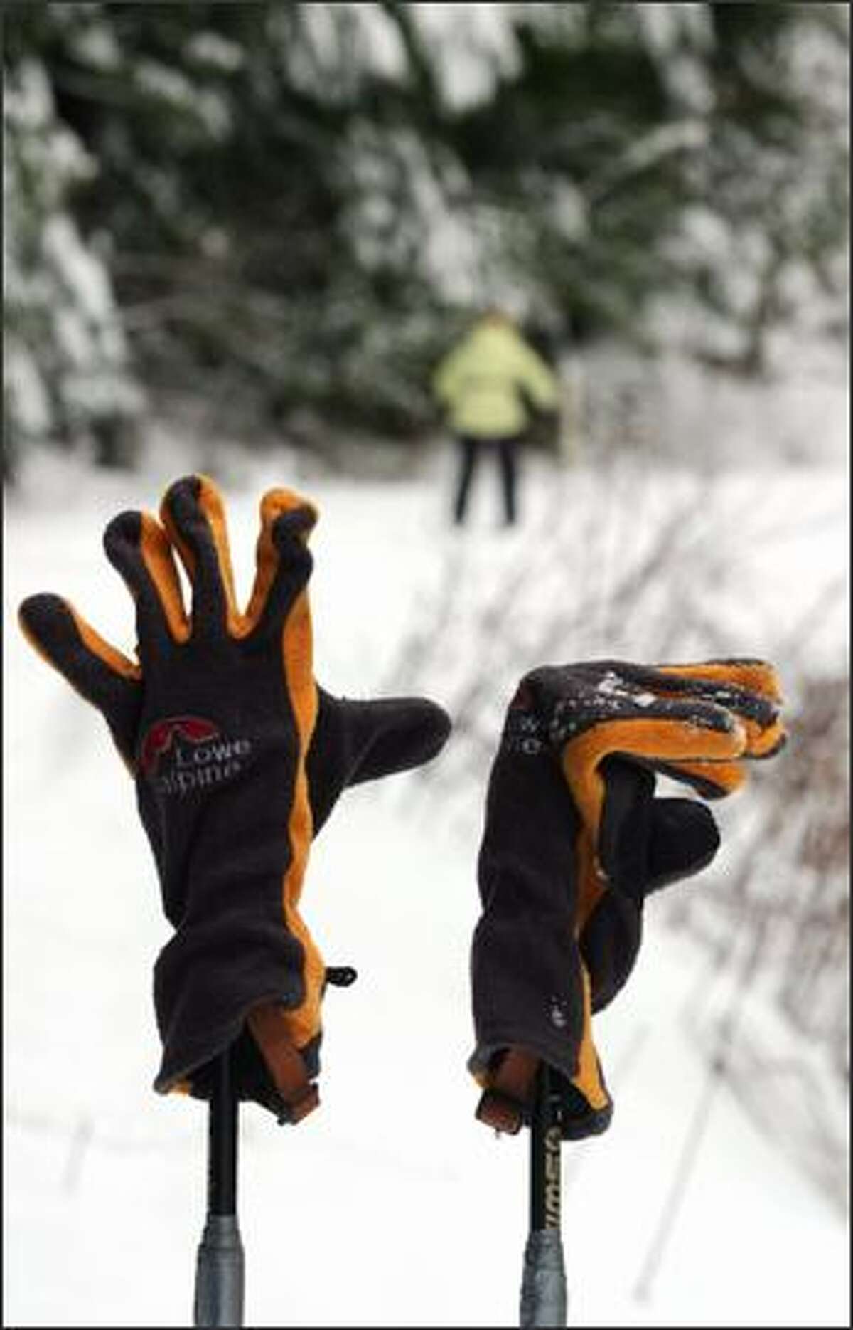 A skier's gloves rest on ski poles during a cross country ski and snow shoe trip with the One World Outing Club near Stevens Pass.