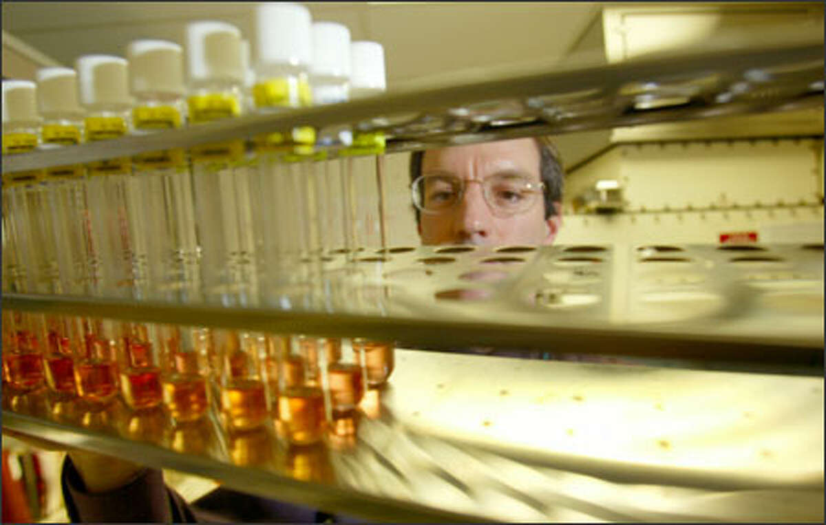 Paul Swenson, director of the Seattle-King County public health laboratory, holds tubes of influenza cultures about to be tested at Harborview Medical Center.
