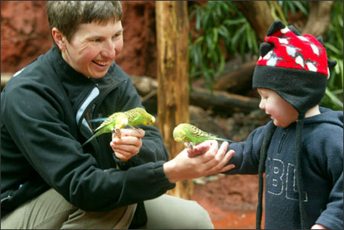 Katerina Weinfurt introduces her son, Adam, 16 months, to three parakeets at Woodland Park Zoo's Willawong Station on Monday. About 150 free-flying, brightly colored birds inhabit the exhibit, and visitors can buy a $1 seed stick to feed them. The exhibit is open daily from 9:30 a.m. to 5 p.m.