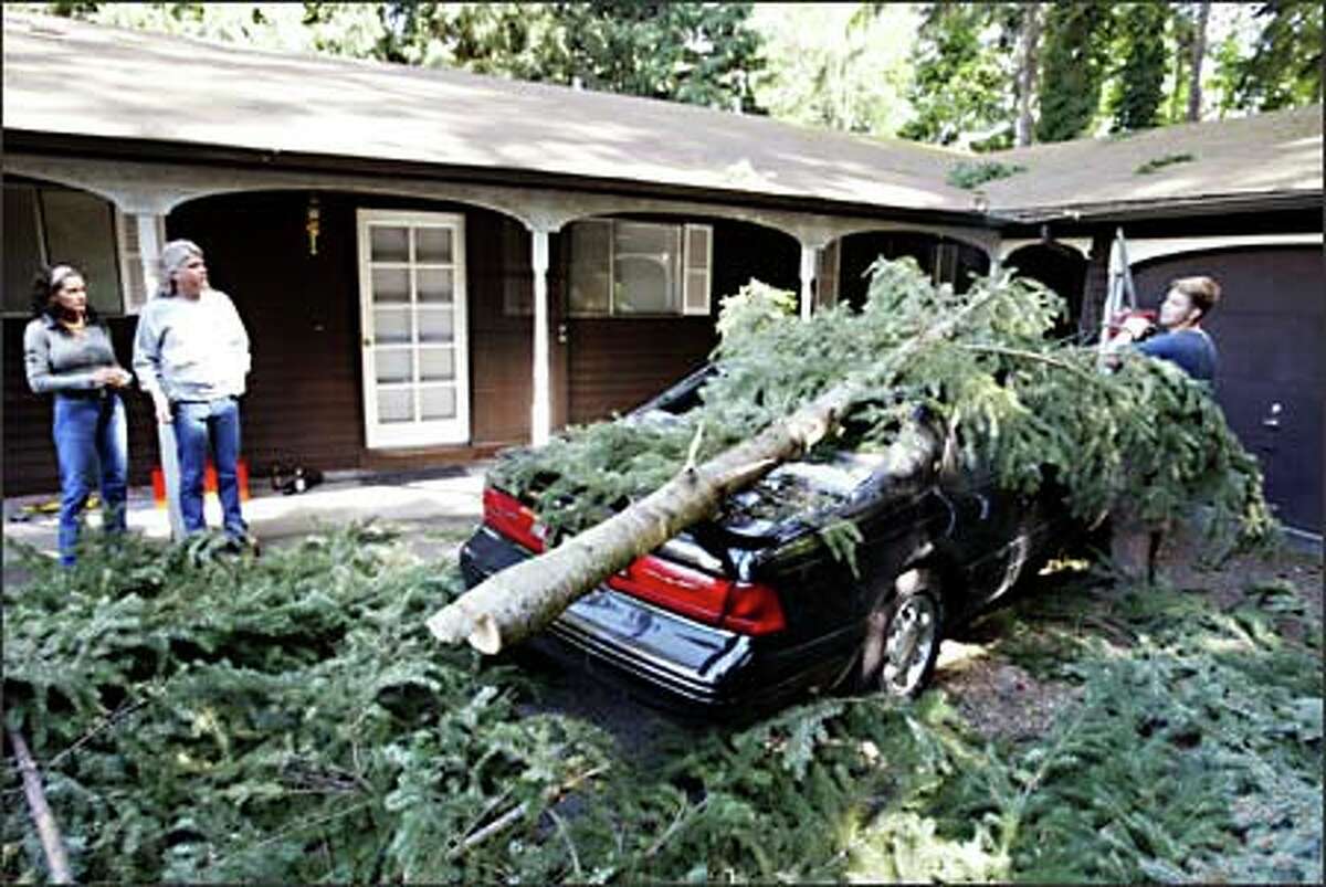 Michael Wright cuts limbs off the tree that fell on the mint-condition, 1996 Ford Thunderbird owned by Brenda Gard, left. With her is Bill Lindstrom, in whose driveway it is parked.