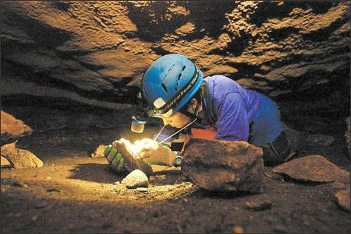 Jean Krejca, a biologist with Zara Environmental, a consulting company, studies rare creatures in humid caves such as Tooth Cave, near Austin, Texas. Numerous cave species are already extinct, she said, the result largely of development.
