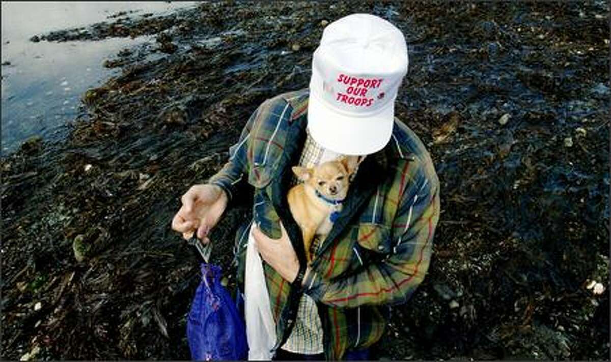 Roger Chapman from Tacoma and his chihuahua Bingsu weighing a sack of seaweed harvested during a low tide at Fort Flagler State Park.