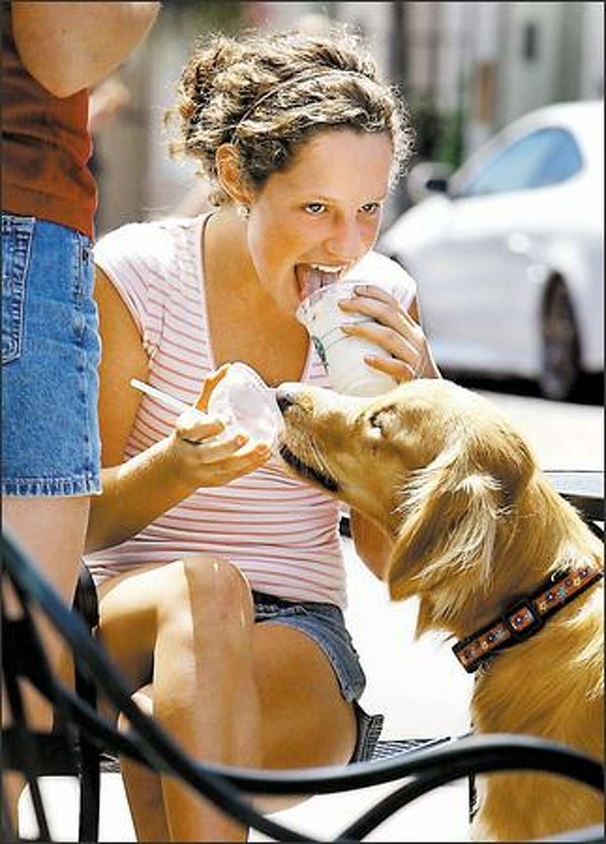 Ginger the dog helps Sally Landefeld, 12, with her Frappuccino at the University Village Starbucks on Tuesday.