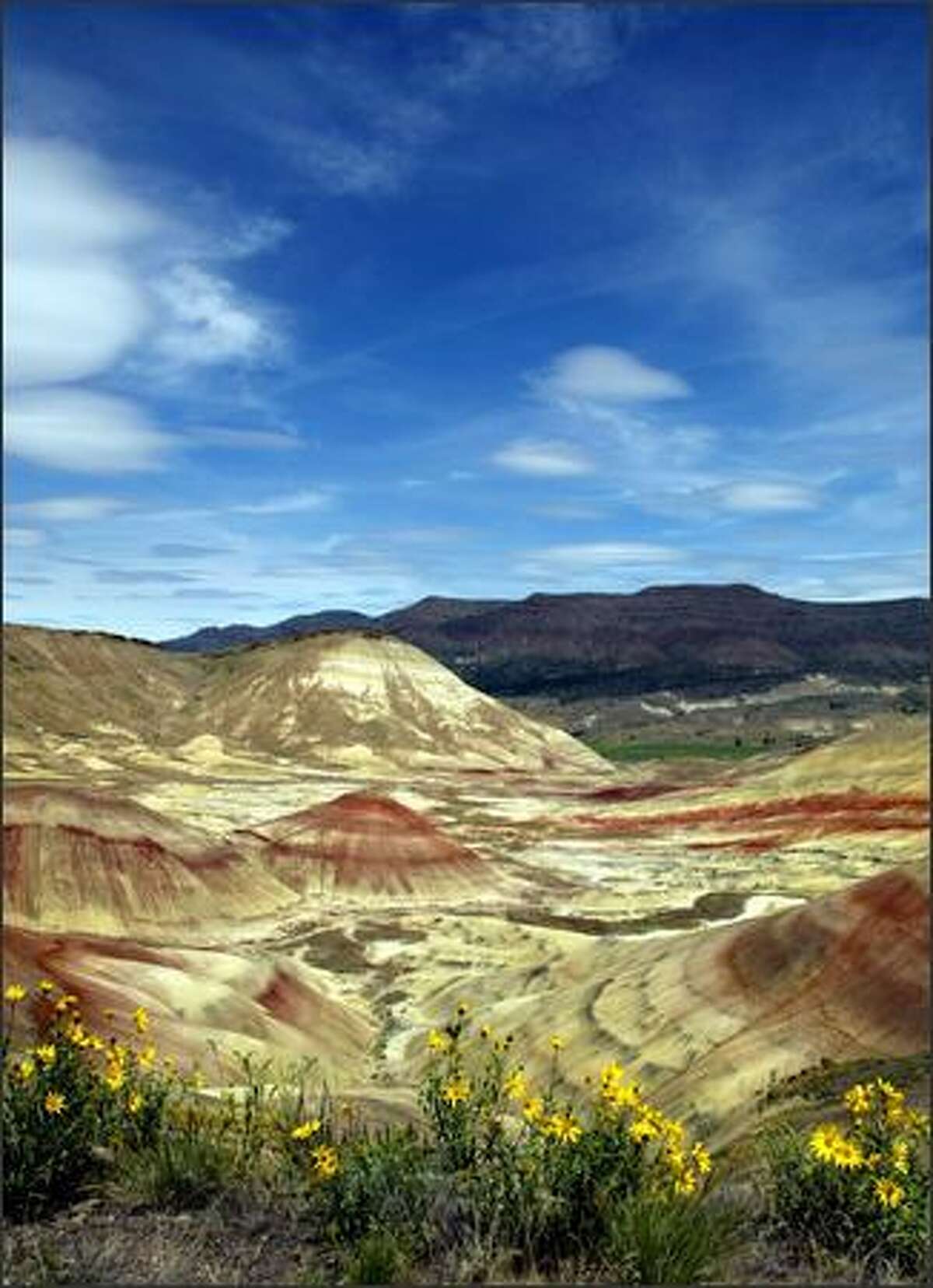 A view of the Painted Hills, foreground, with Carrol Rim in the center and the Sutton Mountains in the background.
