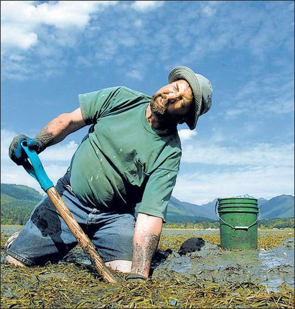 Jerry Strawn puts his all into digging for a geoduck in the Dosewallips State Park tideflats. Unfortunately, all that effort netted a relatively small clam.