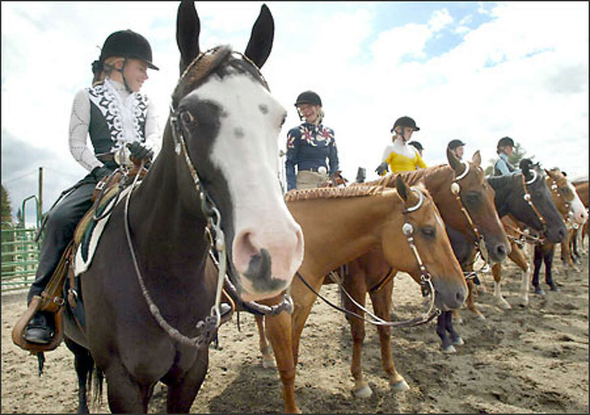 Lauren Storer, 12, left, and her horse Gabby compete yesterday with other sixth- through eighth-graders at the King County Fairgrounds for stock seat, a competition where the rider is judged. The fair opens officially today.