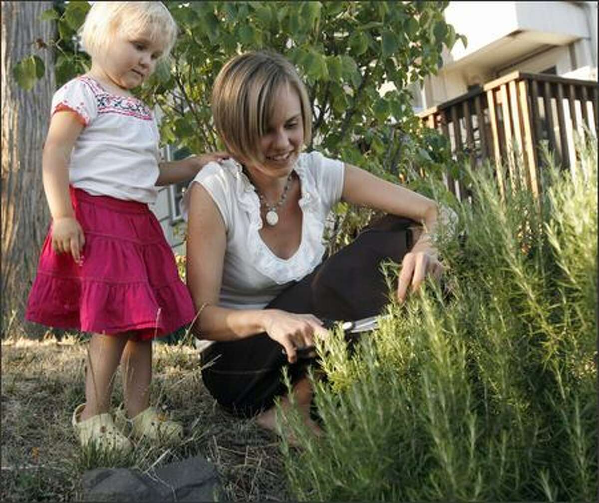 Melissa and her daughter Chloe, 2, cut rosemary in their front yard. Melissa is following the "100 Mile Diet," an enviro motivated experiment where people only eat food that comes from 100 miles away from their home in an effort to cutdown on greenhouse gas emissions from transporting food, support local farmers and preservation of farmland, and to eat more nutritious, fresh local food. Some 80 people are participating in the Seattle diet, which is being organized by Sustainable Ballard. Thursday, August 2, 2007.