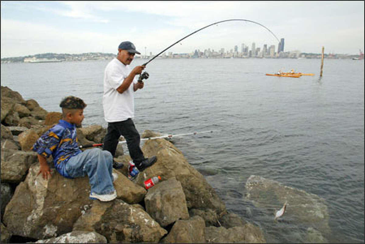 With the city skyline in view, Liborio Brito and his son Eric fish for bottomfish off the rocks near Seacrest Marina Park on Elliott Bay. The pair, who live in Kent, say they often come to the park to try their luck, but Monday was a slow day on the water and the fishermen caught only this flounder, which they had to release. Better luck next time.