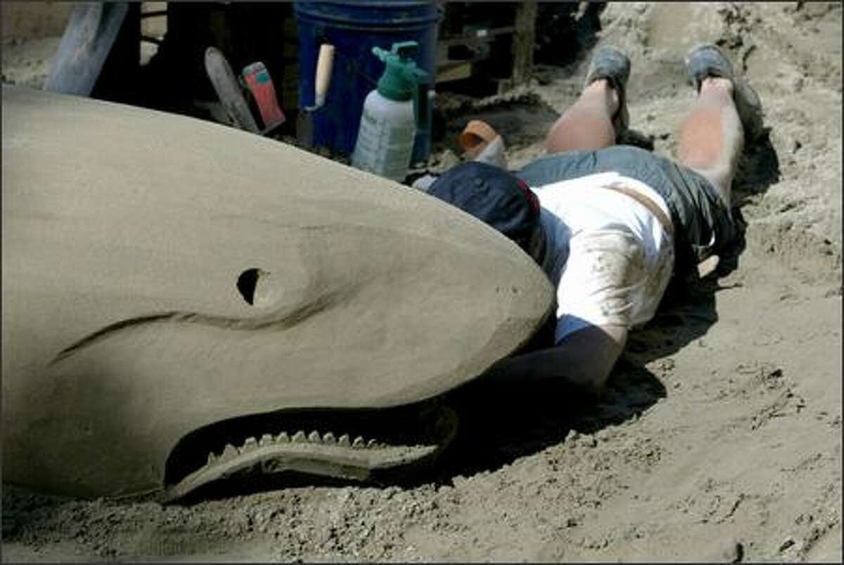 Sand artist Ed Mah of Seattle works on the teeth of his great white sand shark. Mah is one of the artists with the Orbital Sanders team working on two sculptures for the SummerStop beach festival at Westlake Park downtown. Festivities begin tomorrow from 11:30 a.m. to 4:30 p.m., and include live music and dancing with the cast of "Hairspray."