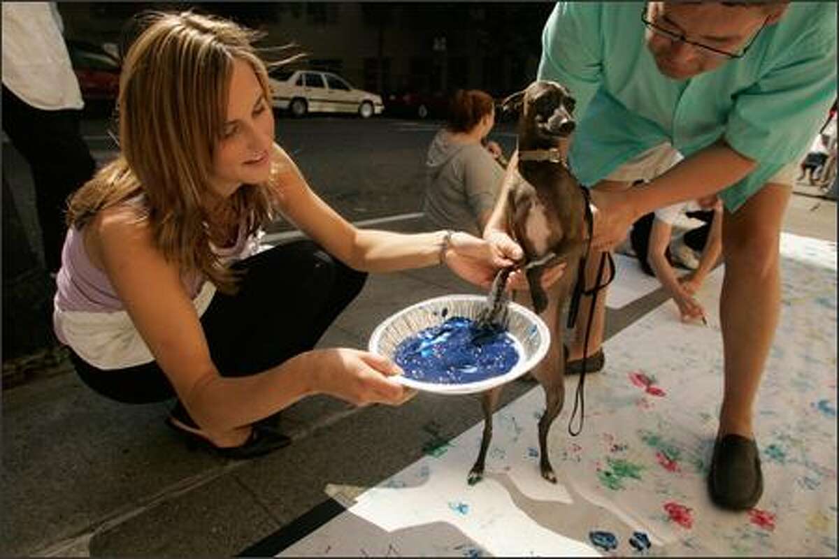 Yvette Lane lends a helping hand as Randy Rudolph of Three Dog Bakery and his best friend, Dash, take part Thursday in the third annual AARF Art and Adoption Day, hosted by the Alexis Hotel in Seattle. Pets put their best paws forward to create a colorful canvas that will be displayed at the adoption center.