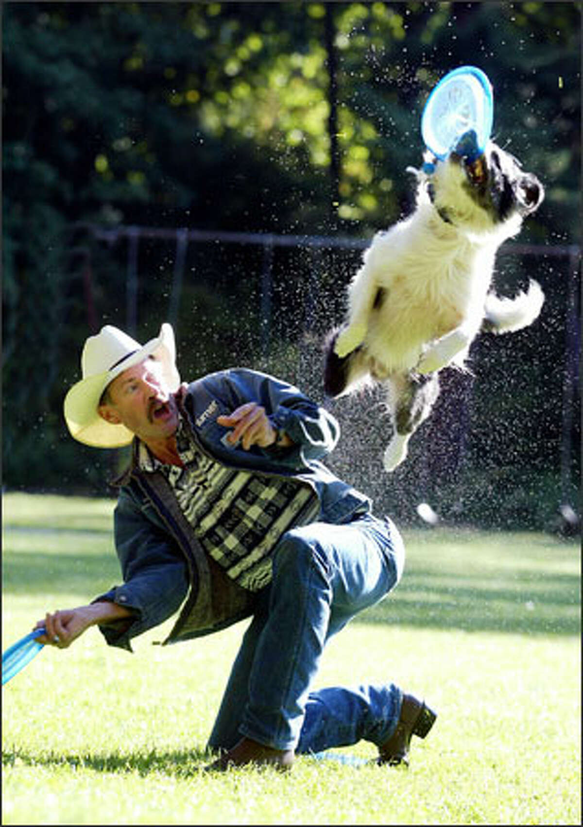 Ray Calhoun of Madrona works out with his border collie mix, Cordell. Calhoun, Cordell and Calhoun's other dog, Cowboy, are all headed to the world canine disc championships in Atlanta this weekend. (Editor's Note: Calhoun was incorrectly identified in the original version of this caption.)