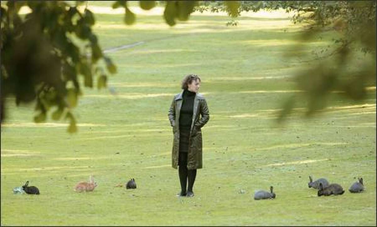 There’s a bunny boom in Seattle right now. Here’s why