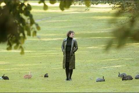 There’s a bunny boom in Seattle right now. Here’s why