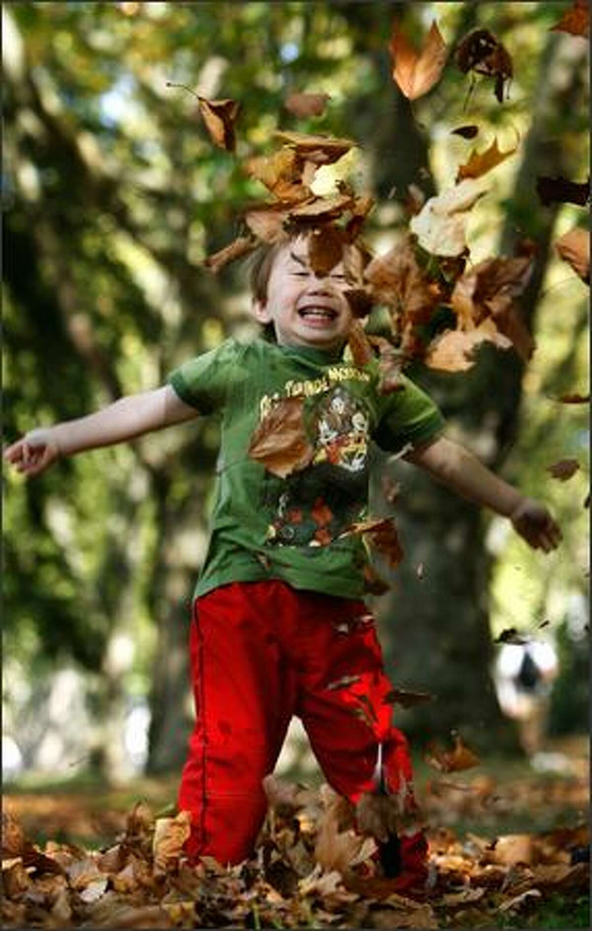Tomoe Millette, 3 1/2, delights in tossing leaves in the air while enjoying a pleasant fall day as he plays on the University of Washington campus. Tomoe was with his mother, Yumiko Millette of Seattle, who was between classes Monday.