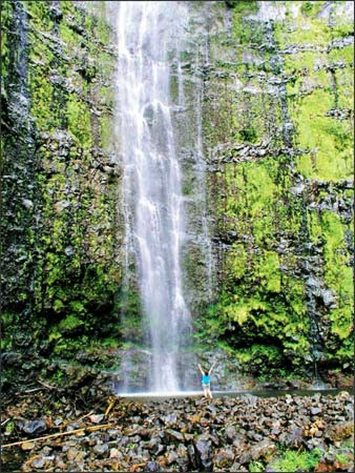 The reward at the end of the Pipiwai Trail is the 400-foot Waimoku Falls.