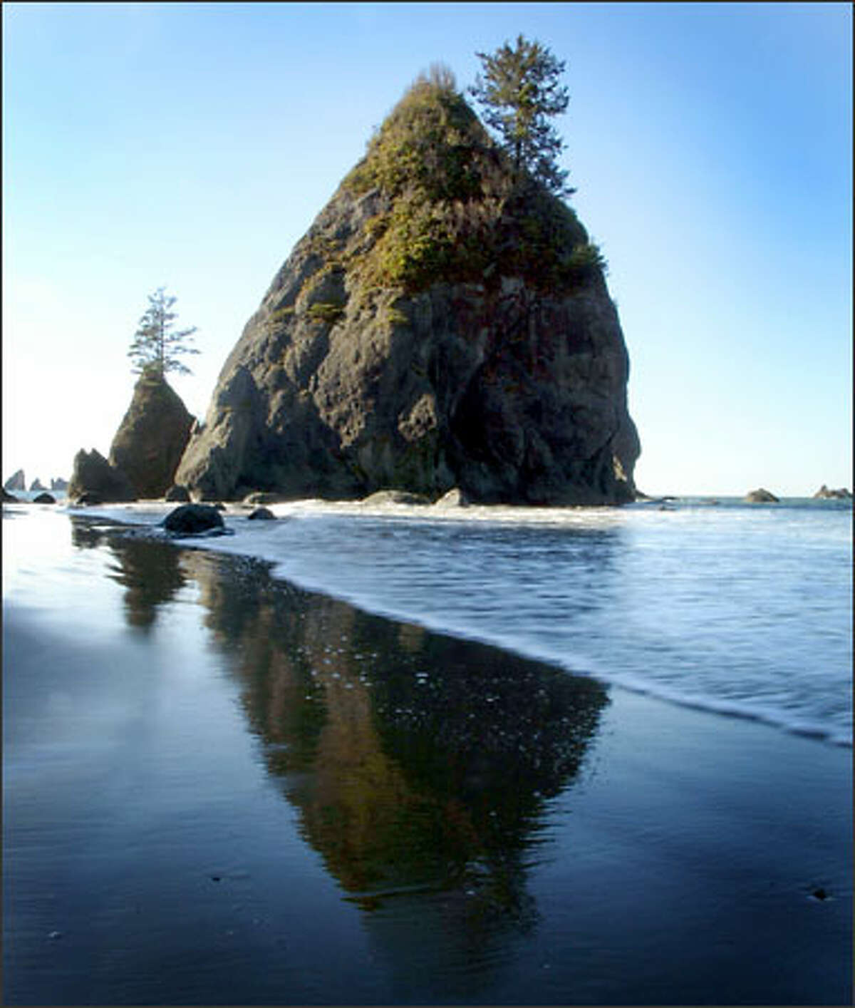 Sea stacks punctuate the rugged coastline at Point of the Arches on Shi Shi Beach.