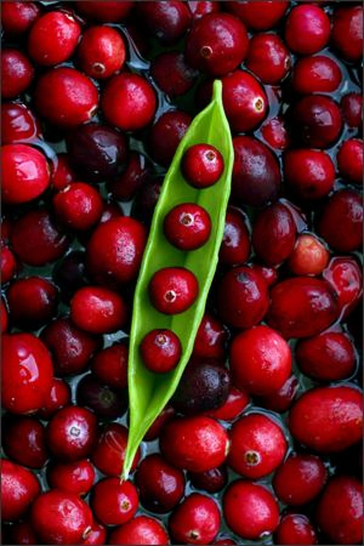 Cranberries for the holidays.