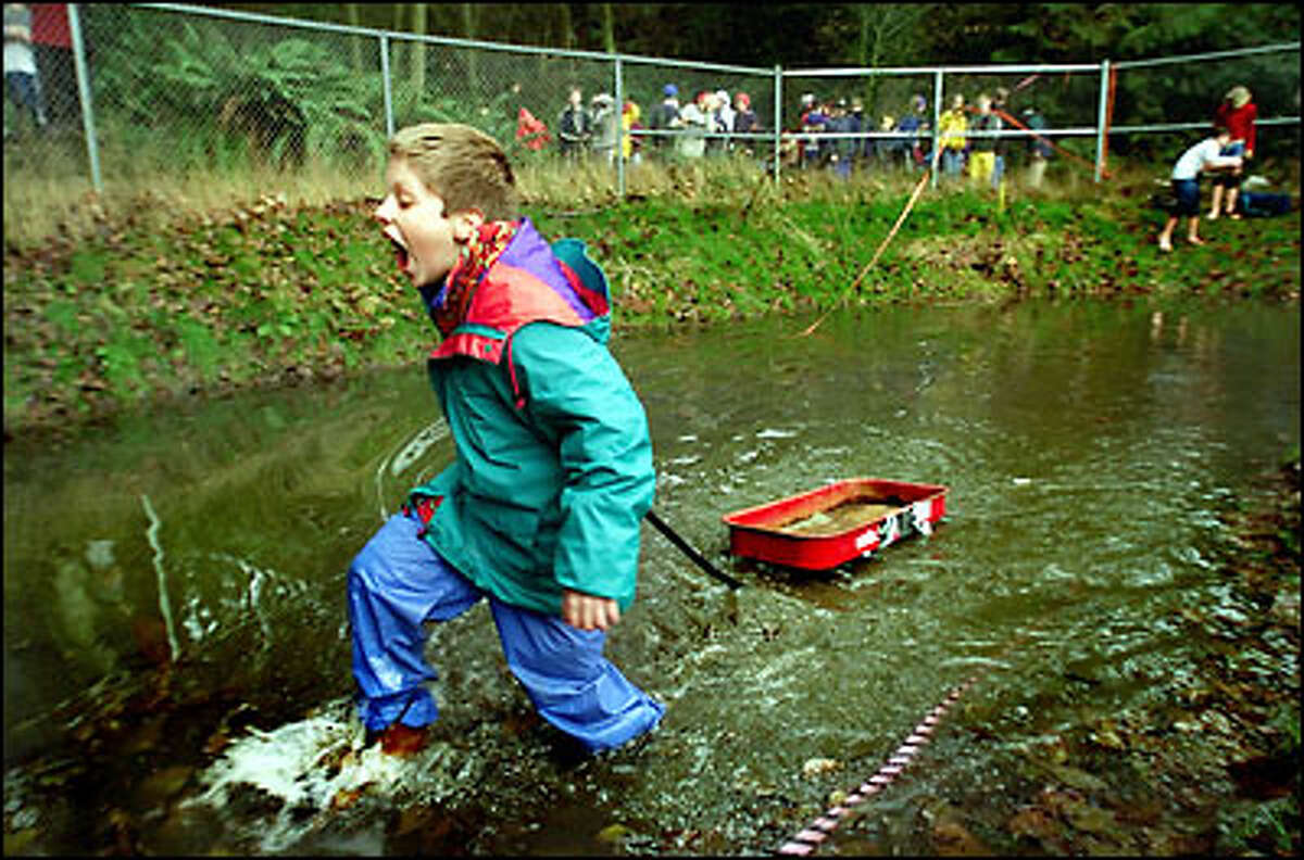 Pulling a wagon, Bronson Kolde, a seventh-grader at Lakeside Middle School, crosses the chilly waters of a retaining pond used to simulate a river crossing during the school's "Oregon Trail" program. Although yesterday's garb (nylon warm-up pants duct-taped to rubber boots) was different from trail days, the will to survive was not for the 70 students.