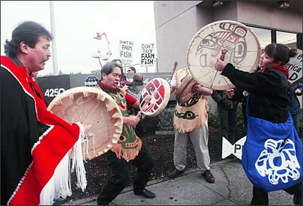 Haida drummers put a final beat on their drums as they finish a song during a demonstration yesterday against the salmon farming industry at North American Pan Fish headquarters in Ballard. About 100 representatives of U.S. and British Columbian fishing and conservation groups, along with Alaska natives and Northwest tribal members, participated in the protest, which continued with a march to a nearby Fred Meyer store. Opponents of salmon farms say they hurt sales of wild salmon and threaten their existence, and damage the environment.