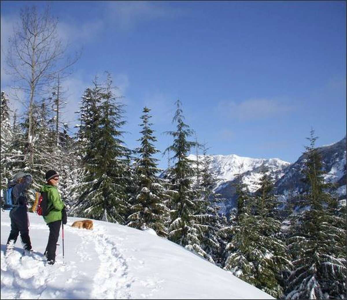 Snowshoers and their canine pal pause for a view break at a switchback on the Kendall Peak Lakes Road.