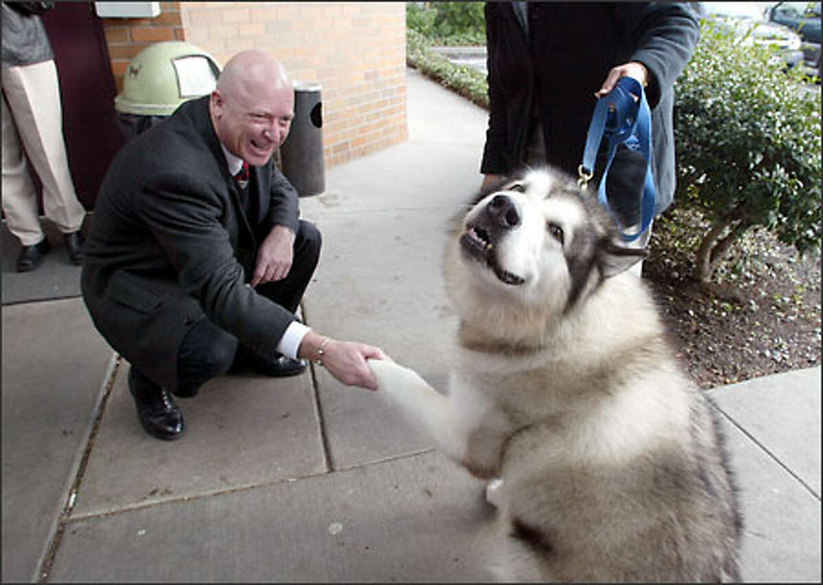 All in a good paws . . . Ricky the malamute is all smiles as he shakes the hand of Bartell Drug Co.'s Michael McMurray at the Seattle Animal Shelter.