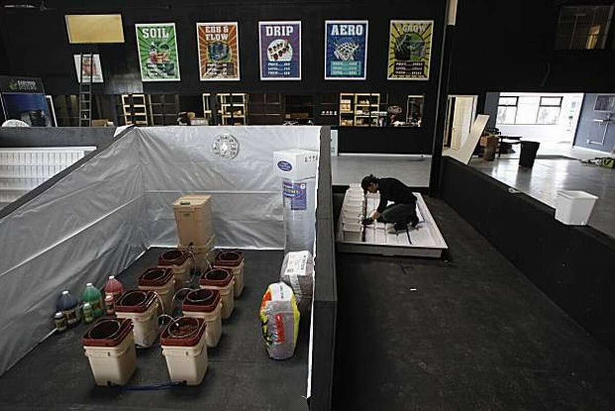 Zeta Ceti constructs a display at the iGrow warehouse in Oakland, a one-stop shop for medicinal marijuana cultivation.